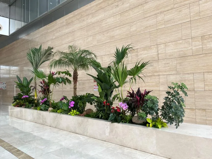 镇海盆景租摆服务好><div class=